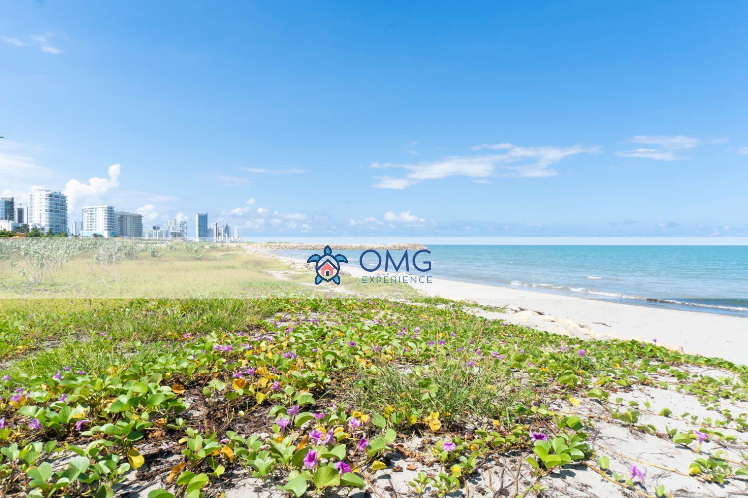 Cb1531 | Confort Premium: Cama King Y Balcón Cartagena